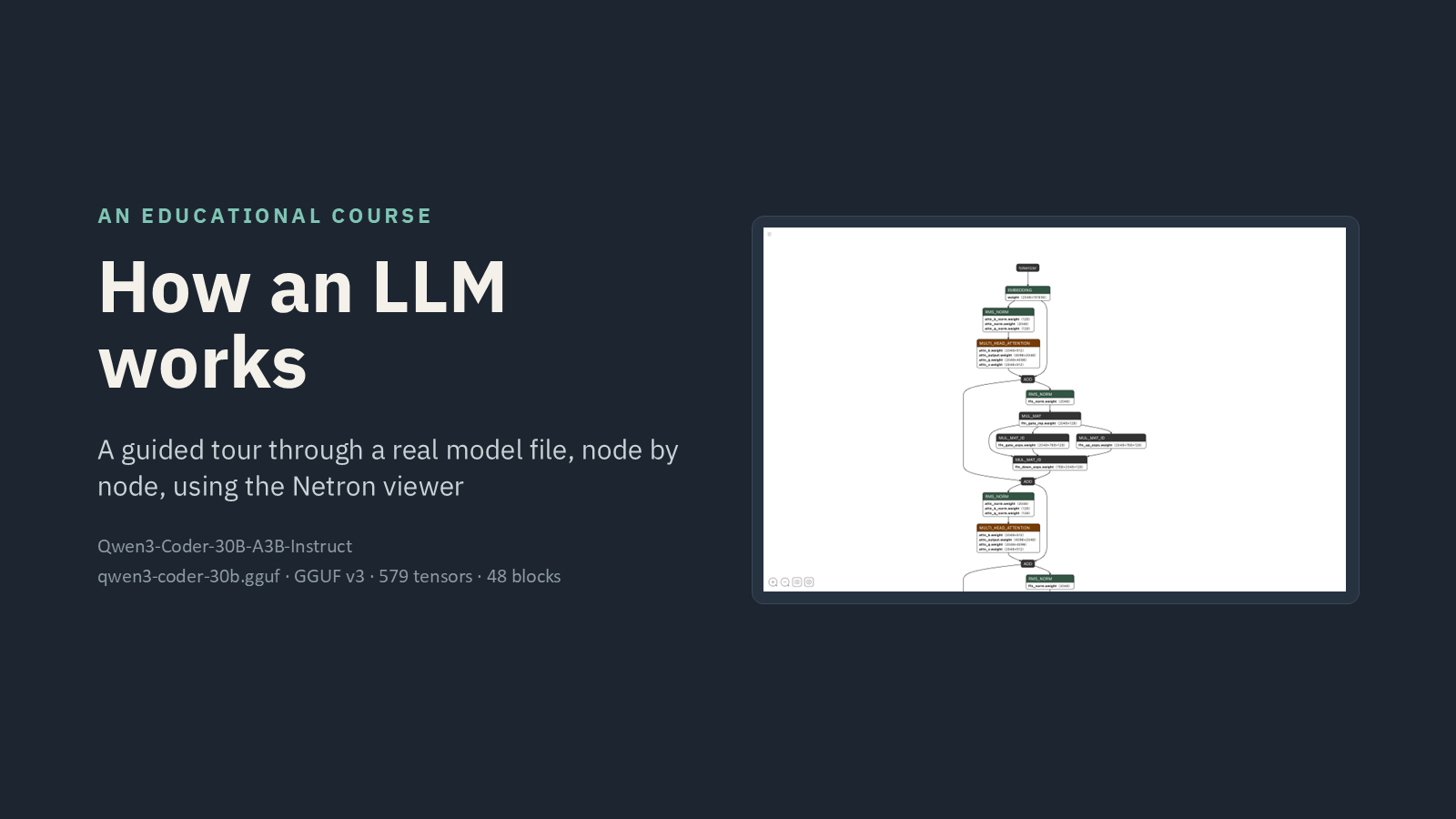 How an LLM works: inside Qwen3-Coder with Netron, slide 1 of 14